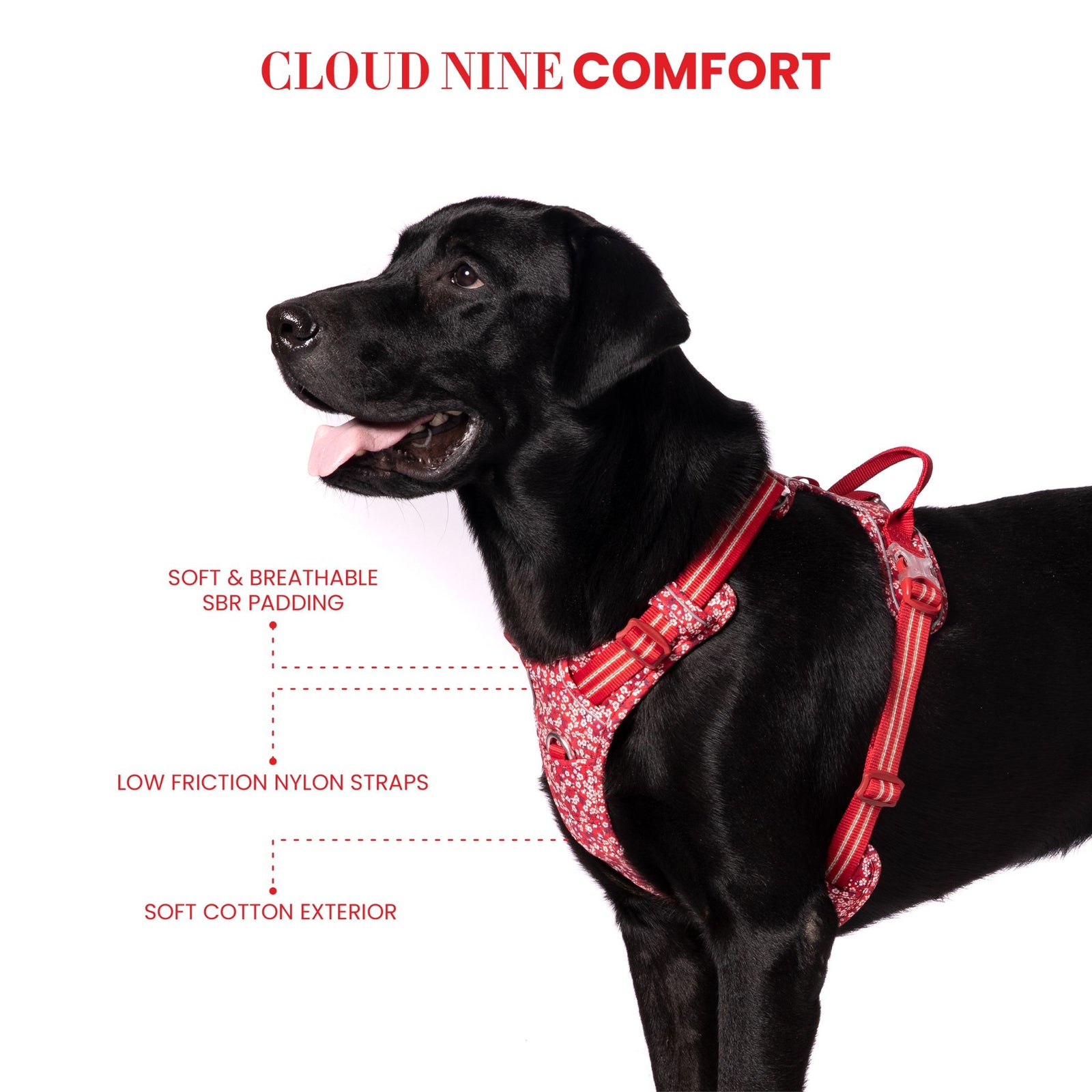 Truelove Floral No Pull Pet Harness for Dogs product image 8 - Rufftail Pune