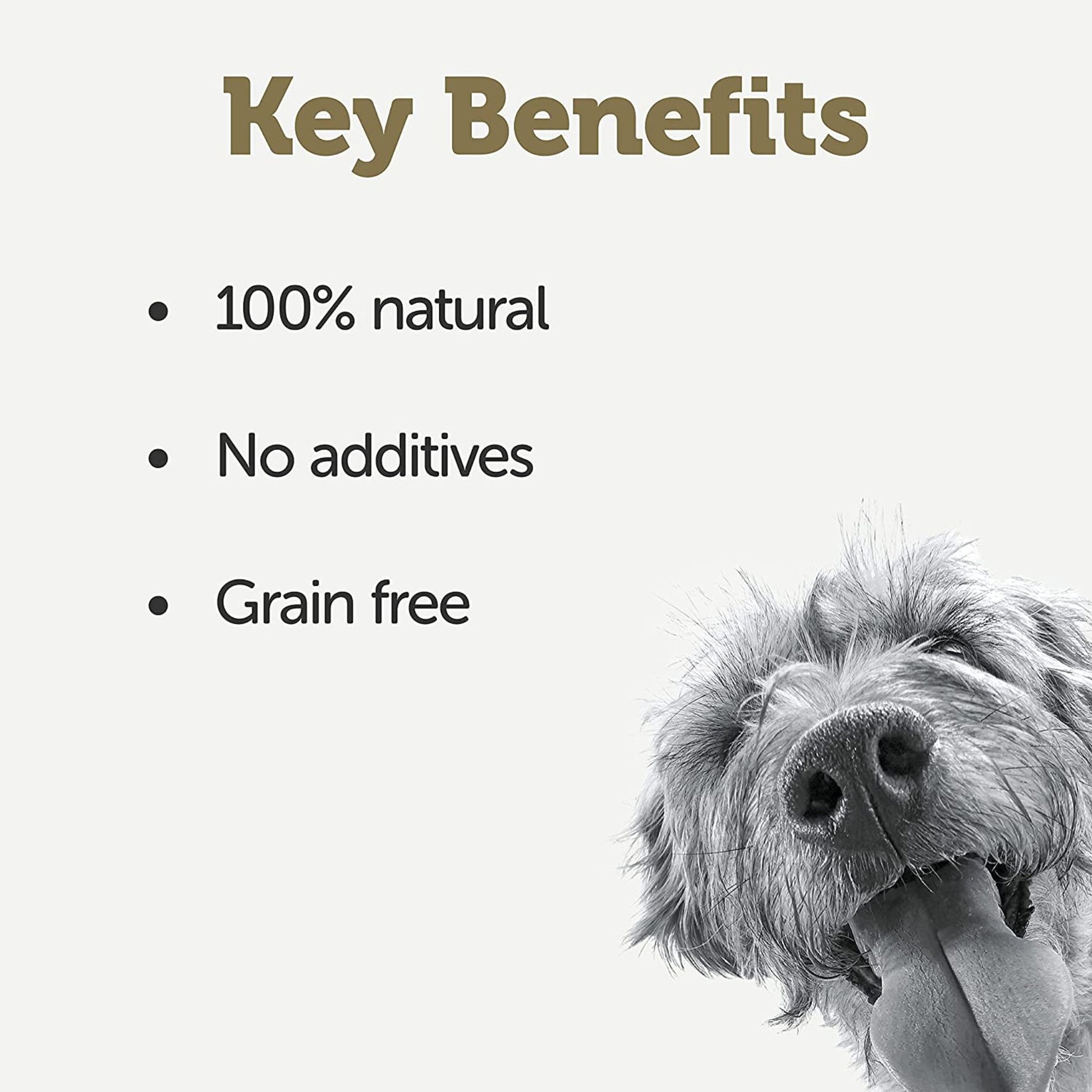 Applaws Wet Dog Food Topper White Fish With Salmon Green Beans & Lentils - 85 gm Pouch - Rufftail