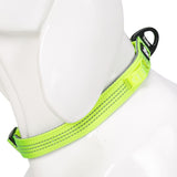 Truelove Padded Dog Collar: Comfort & Durability Redefined - GRAY - Rufftail