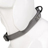 Truelove Padded Dog Collar- Gray product image 2 - Rufftail Pune