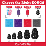 KONG Extreme Dog Toy Wobbler - Power Chewers, Fun & Engaging Toys - Rufftail