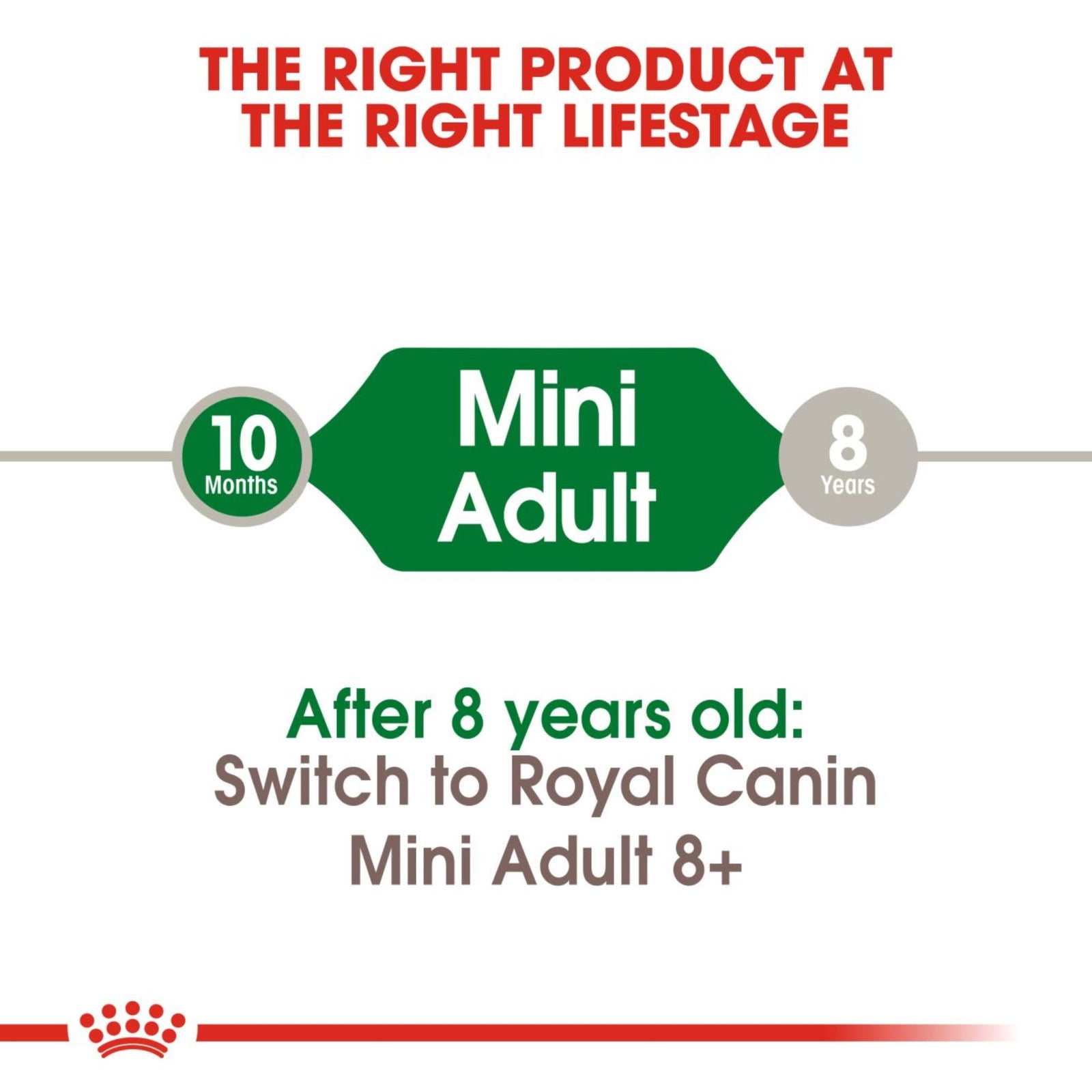 Royal Canin Dry Mini Adult Complete feed for dogs - Rufftail
