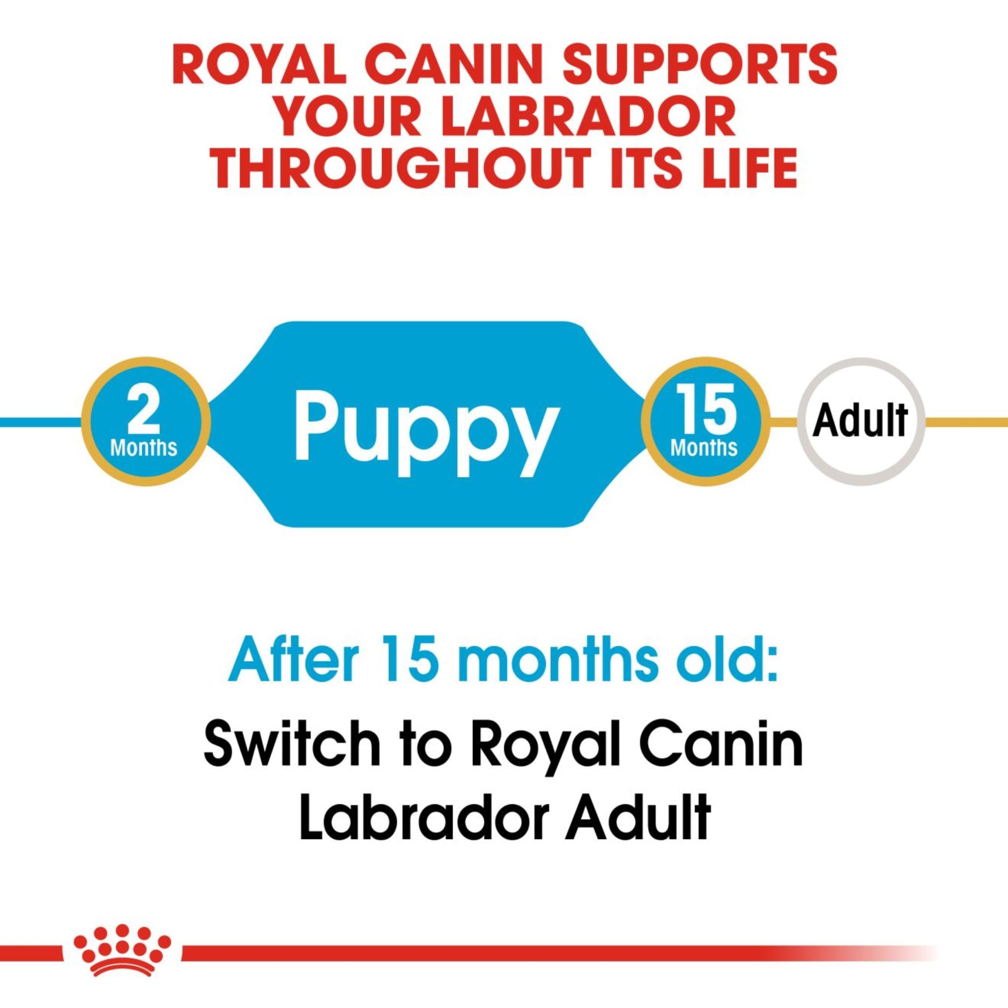 Royal Canin Dry Labrador Retriever Puppy Complete feed for dogs - Rufftail