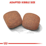 Royal Canin Dry Giant Adult Complete feed for dogs - Rufftail