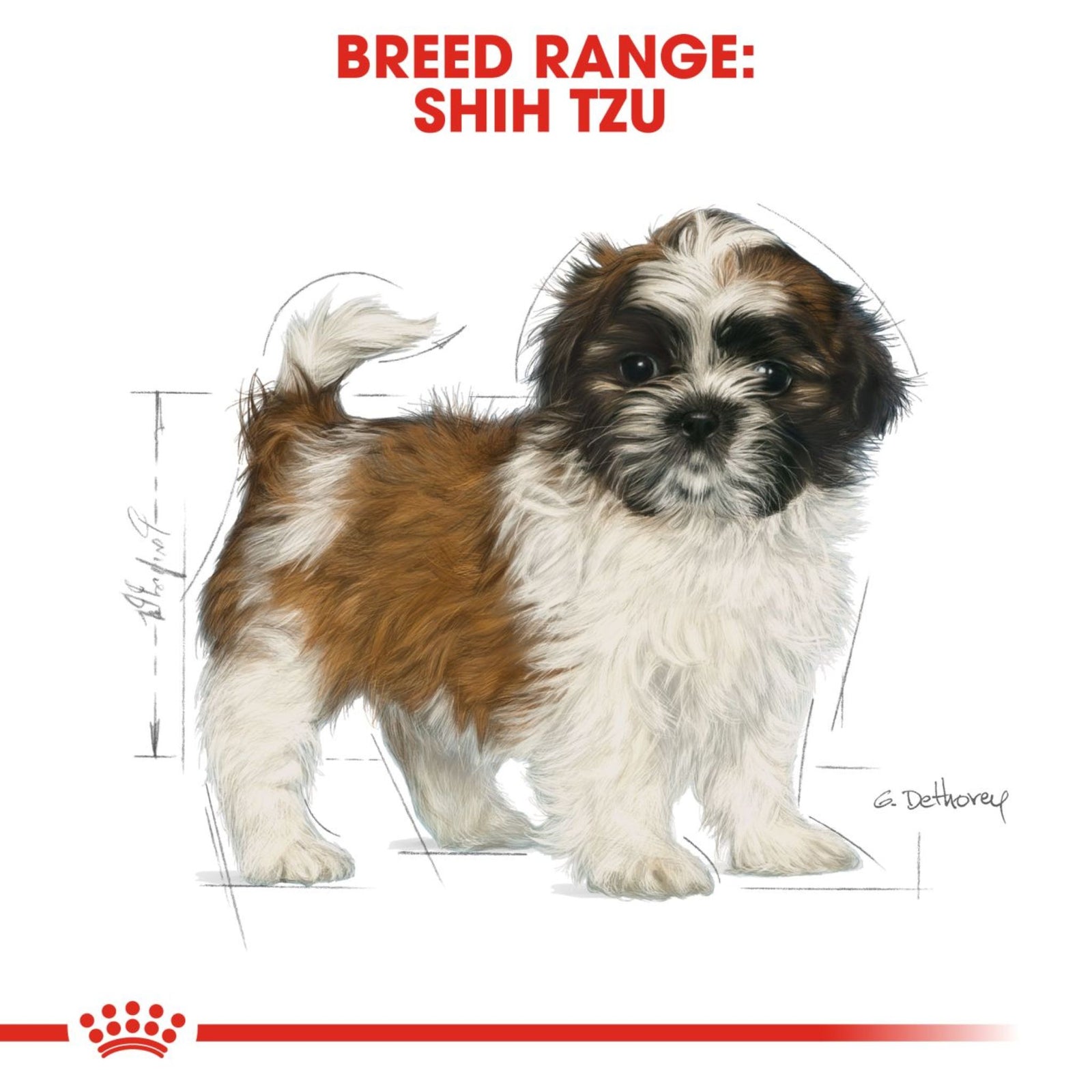 Royal Canin Dry Shih Tzu Puppy Complete feed for dogs - Rufftail