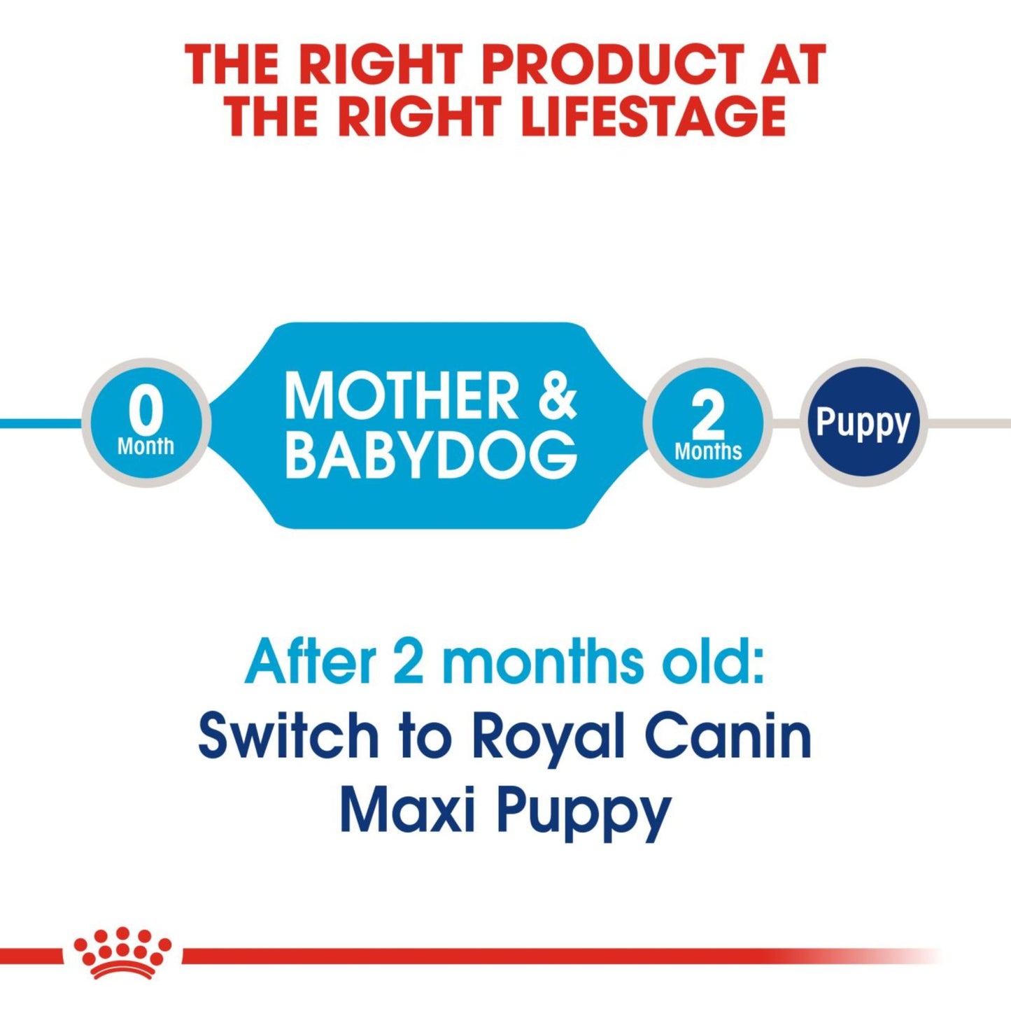 Royal Canin Dry Maxi Starter Complete feed for dogs - Rufftail