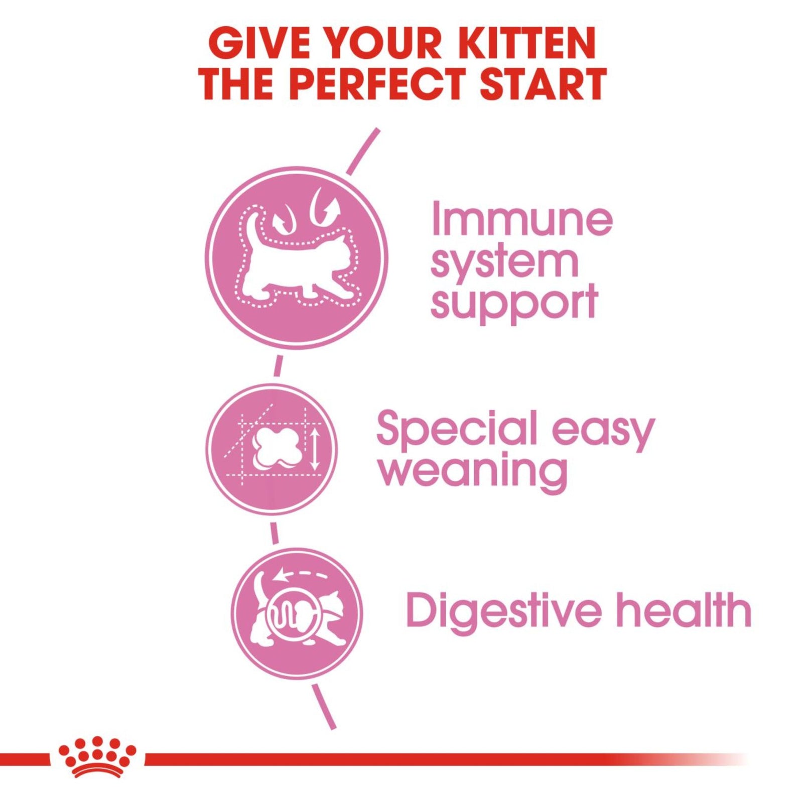 Royal Canin Dry Mother & Babycat Food – Cat Food Dry - Rufftail