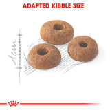 Royal Canin Regular Fit 32 Dry Cat Food product image 6 - Rufftail Pune