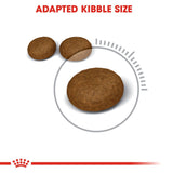 Royal Canin Hair & Skin Care Dry Cat Food (2 kg) product image 4 - Rufftail Pune