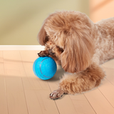 BarkButler x FOFOS Active Rolling Ball Dog Toy- Blue, with LED Lights product image 7 - Rufftail Pune