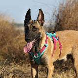 Truelove Escape Proof Dog Harness Comfortable Fit - Vibrant Orange - Rufftail