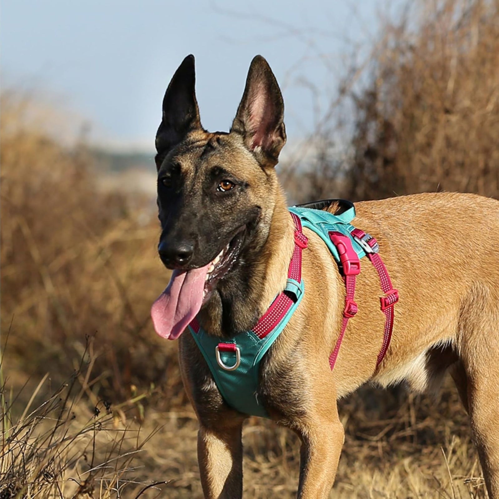 Truelove Escape Proof Dog Harness Comfortable Fit - Vibrant Orange - Rufftail