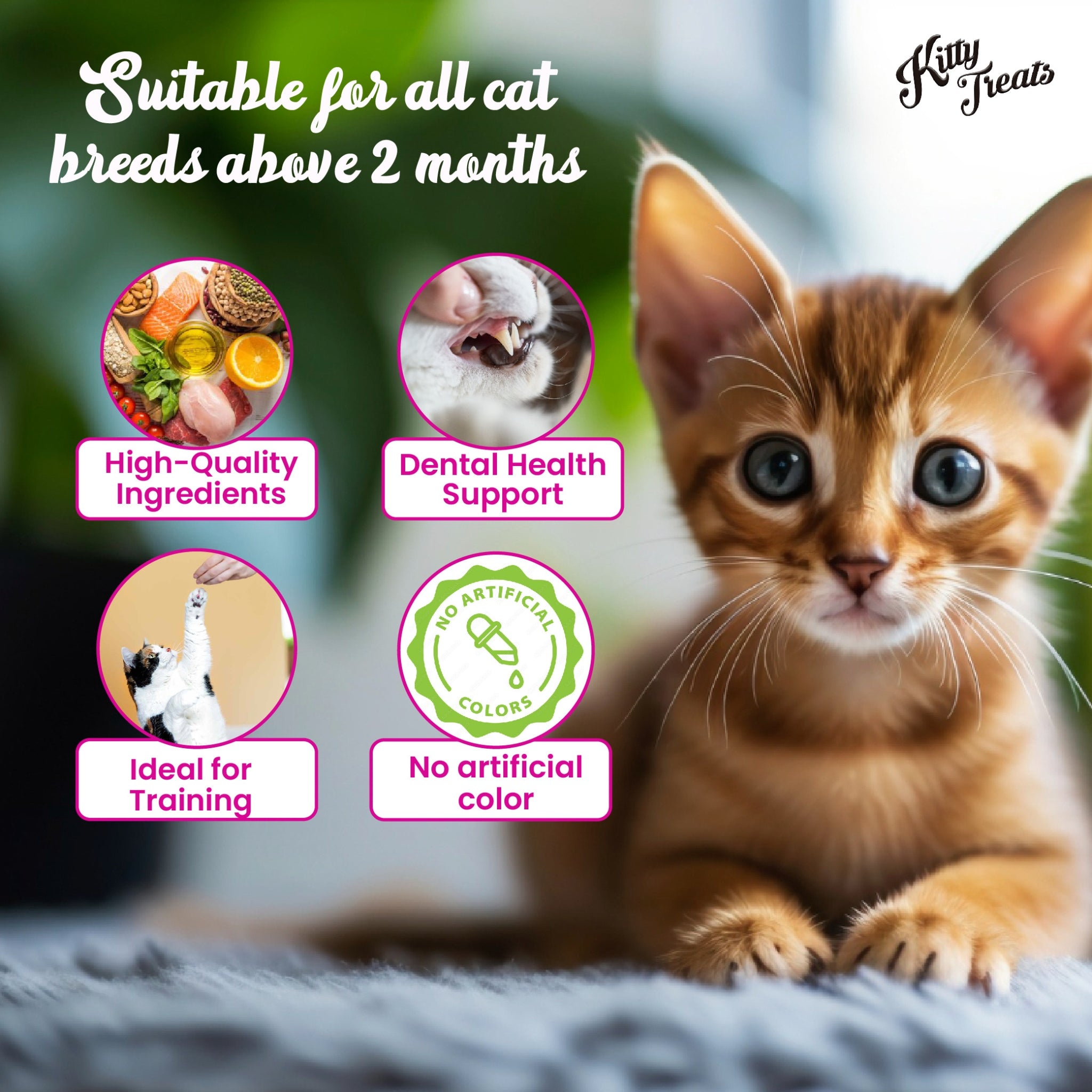 Kitty Treats Soft Chicken and Tuna For Cats - 30g - Rufftail