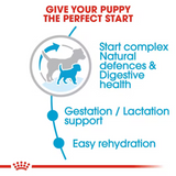 Royal Canin Mini Starter Dry Dog Food product image 3 - Rufftail Pune