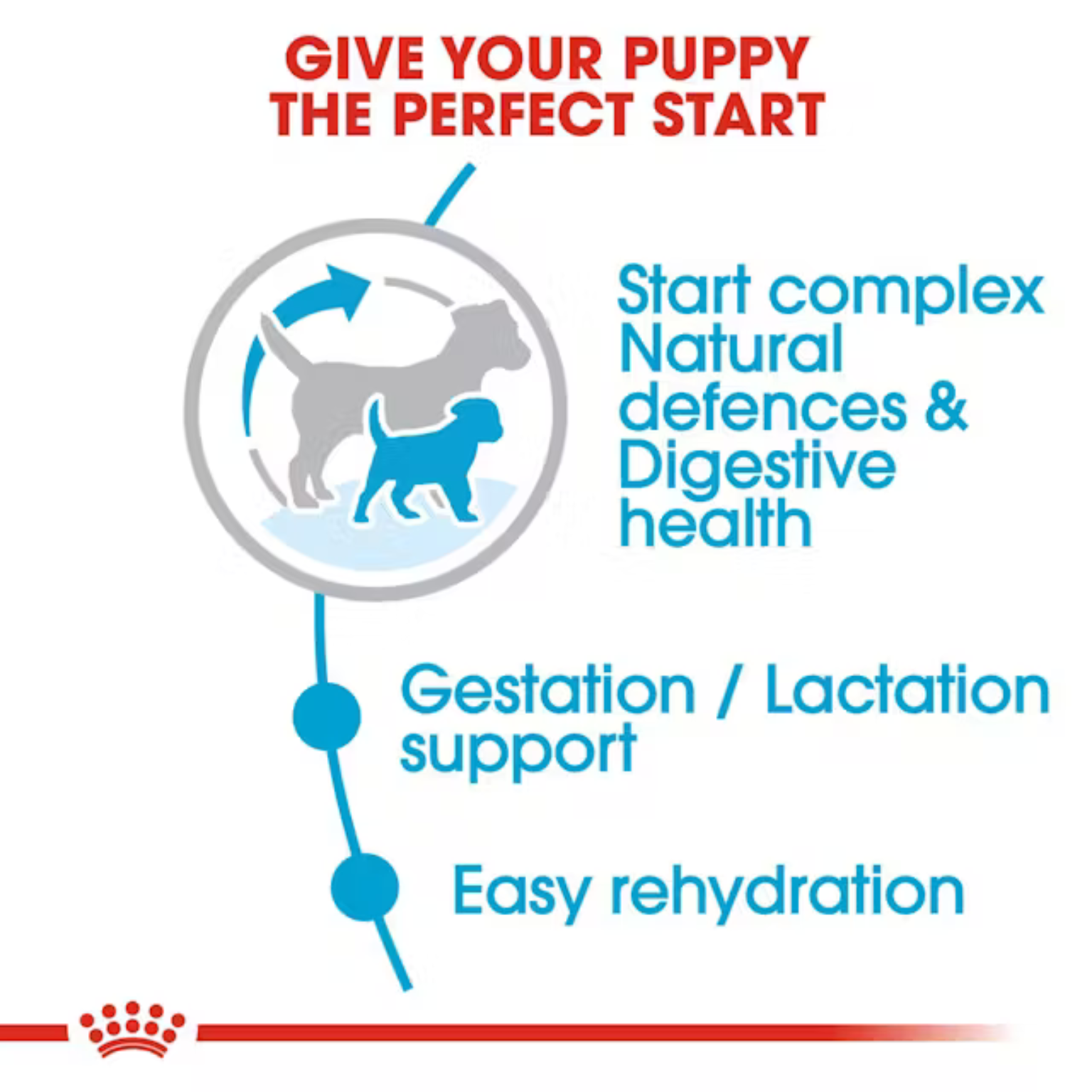 Royal Canin Mini Starter Dry Dog Food product image 3 - Rufftail Pune