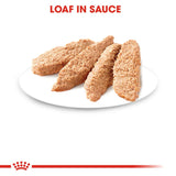 Royal Canin Kitten Loaf Wet Food (12x85g) product image 7 - Rufftail Pune