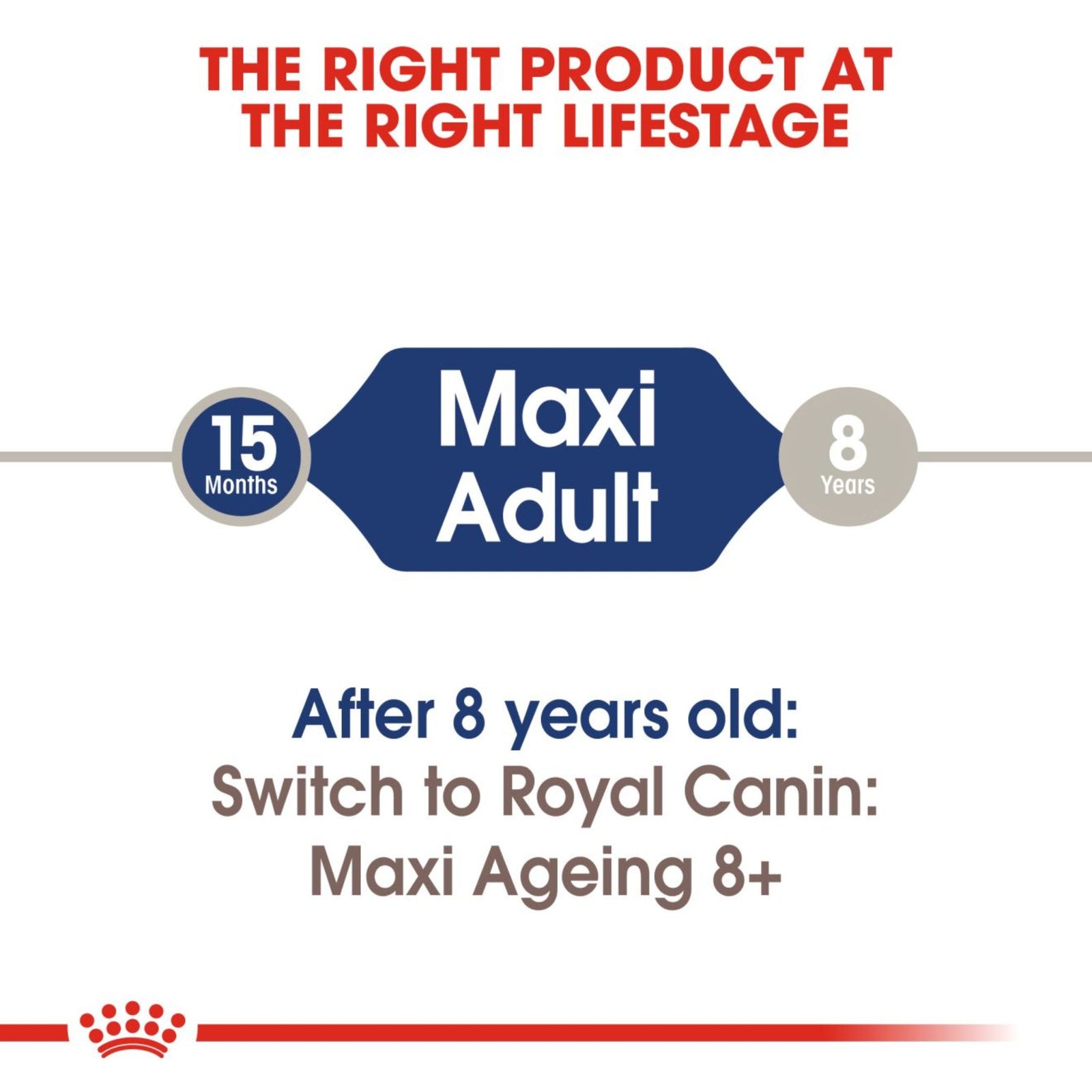 Royal Canin Wet Maxi Adult Dog Complete feed for Dogs product image 4 - Rufftail Pune