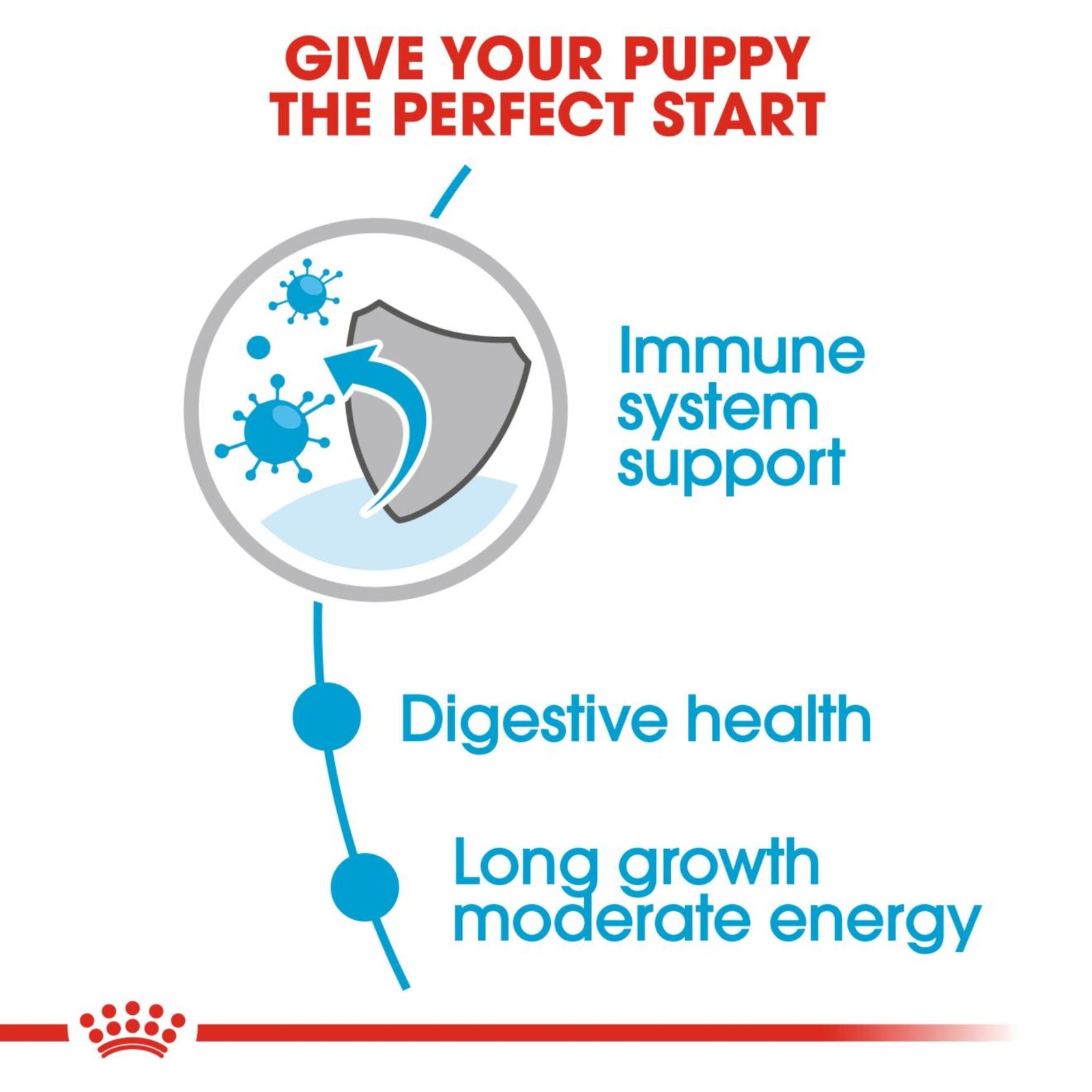 Royal Canin Maxi Puppy Gravy Wet Dog Food- 10 x 140g product image 4 - Rufftail Pune