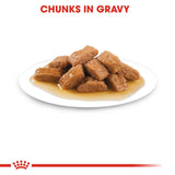 Royal Canin Medium Adult Gravy Wet Dog Food- 10 x 140g product image 9 - Rufftail Pune