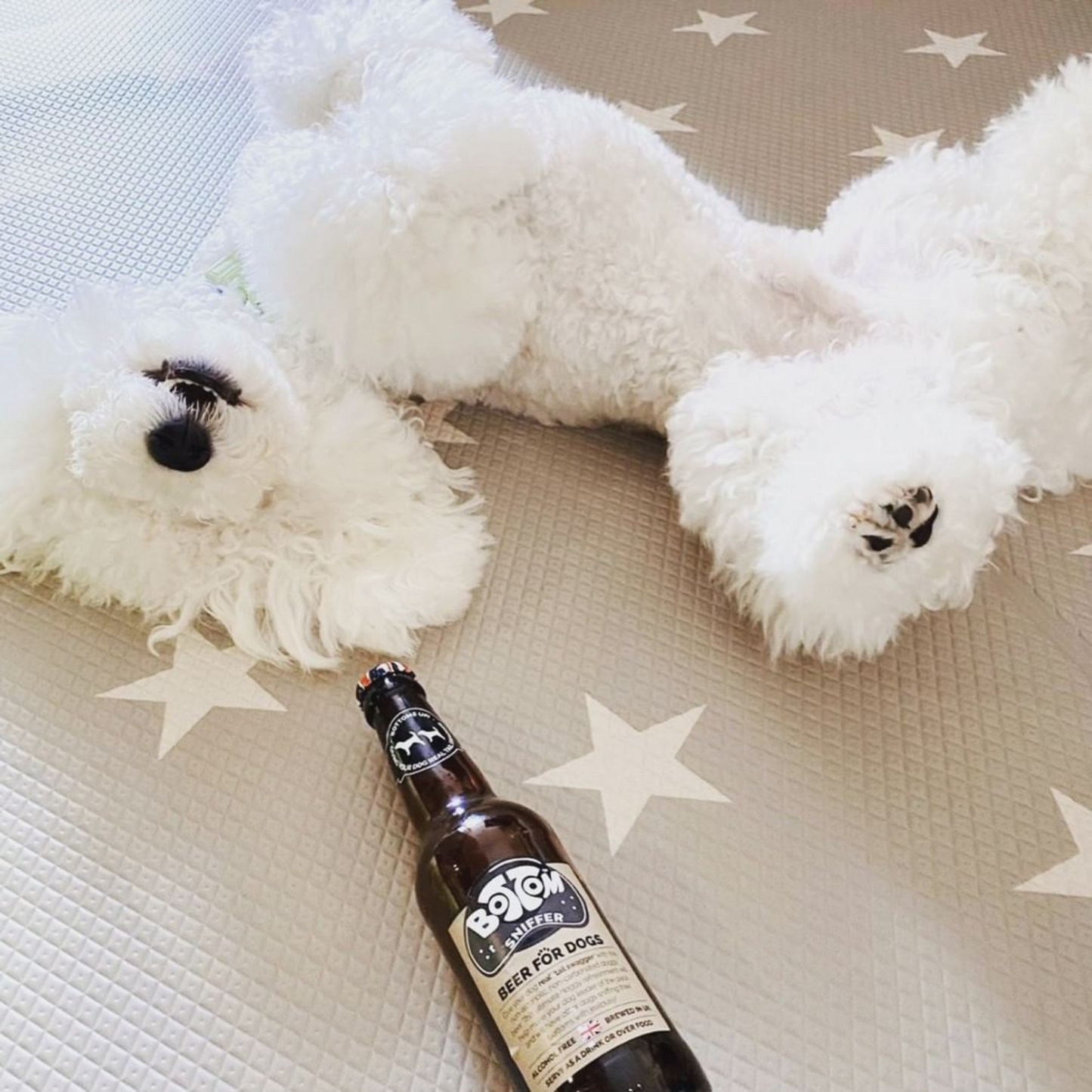 Woof & Brew Vegetarian Bottom Sniffer Non-Alcohol Dog Beer - Rufftail