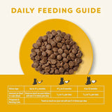 Applaws Complete Natural and Grain Free Dry Cat Food - Kitten Chicken - Rufftail