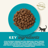 Applaws Complete Natural Dry Cat Food - Adult Ocean Fish with Salmon - Rufftail