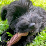 Nylabone Dura Power Chew Bone Chew Dog Toy product image 5 - Rufftail Pune