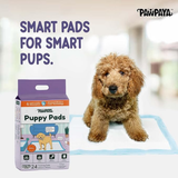 Pawpaya Puppy Training Pads XL - 24 pcs