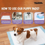 Pawpaya Puppy Training Pads XL - 24 pcs