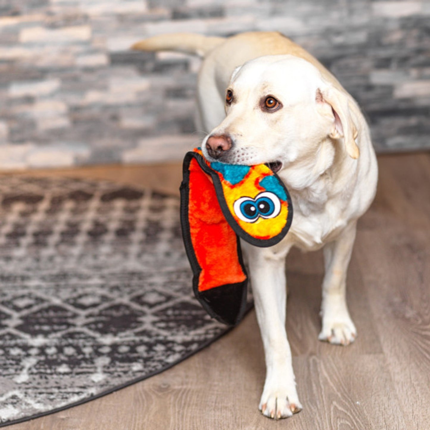 Outward Hound Durablez Snake Squeaky Interactive Dog Toy - Orange LG