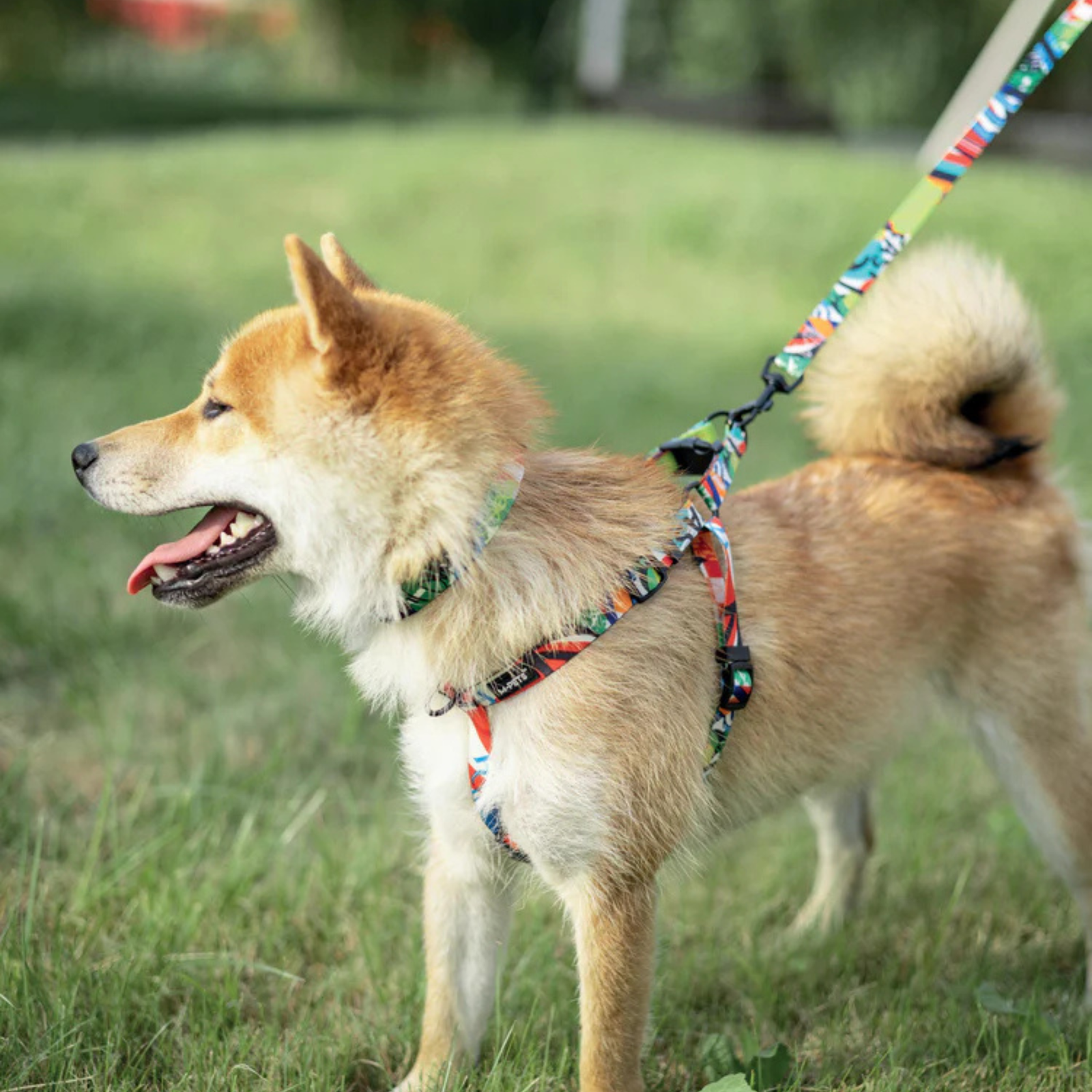 M-Pets URBAN STYLE Freestyle Harness For Dogs - Rufftail