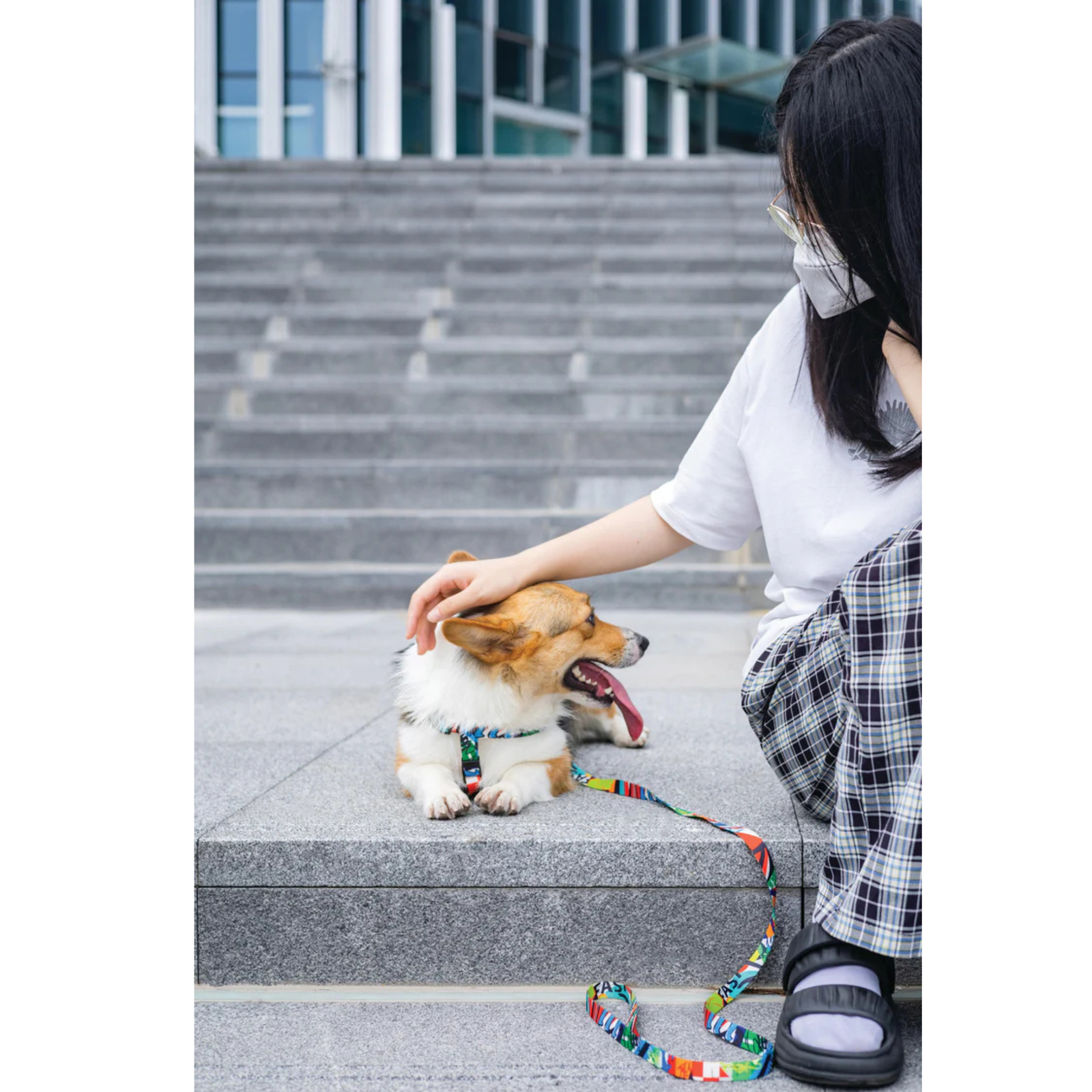 M-Pets URBAN STYLE Freestyle Harness For Dogs - Rufftail