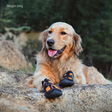 Truelove Premium All Weather Shoes- Neon Orange product image 10 - Rufftail Pune