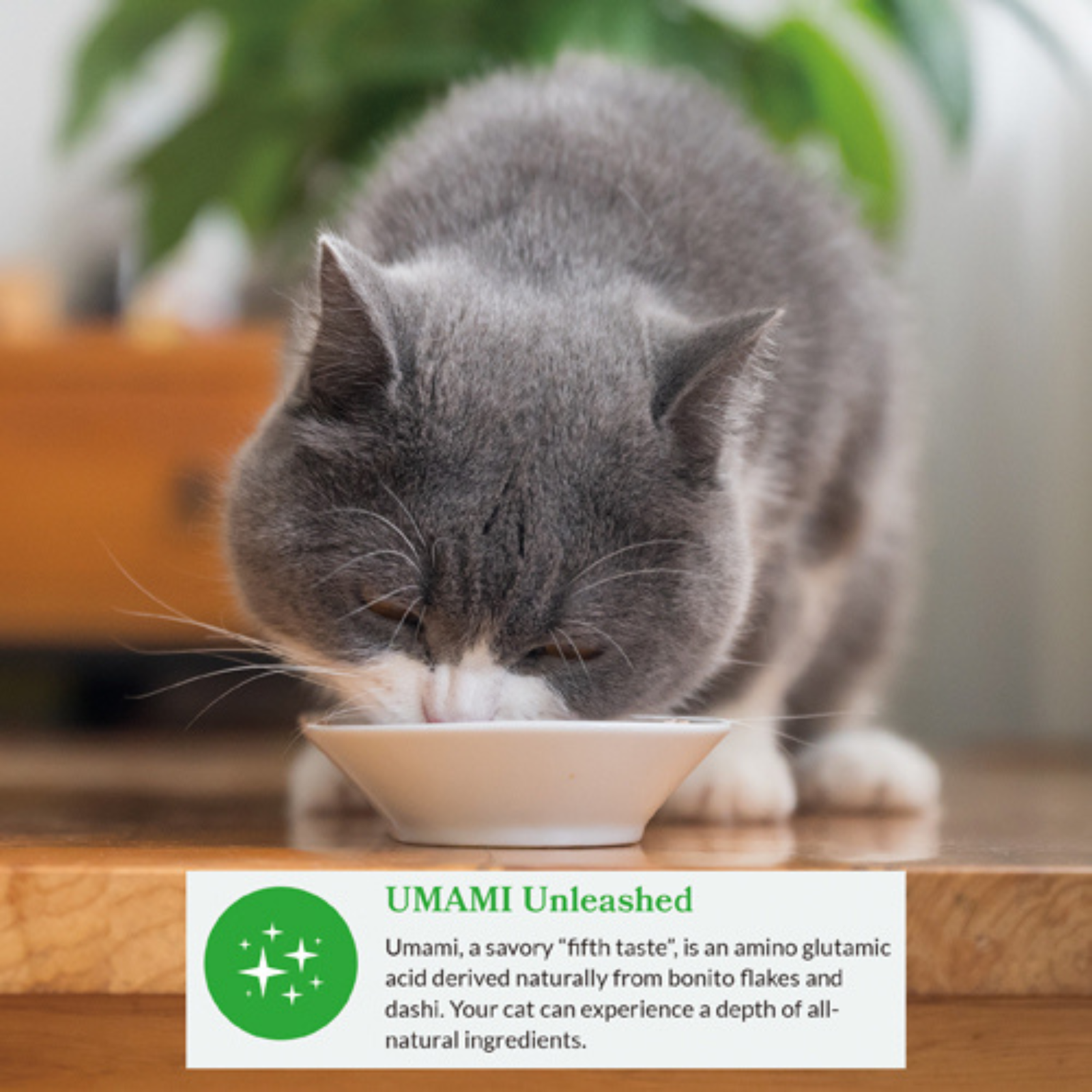 Inaba Dashi Delights Chicken With Tuna & Salmon Recipe Wet Cat Treat & Topper product image 5 - Rufftail Pune