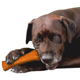 Nylabone Silver Collection Strong Chew Bone, Durable Dog Chew Toy - Rufftail