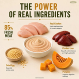 Signature Grain Zero Chicken Mousse Kitten Cat Wet Food