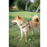 M-Pets URBAN STYLE Freestyle Leash product image 10 - Rufftail Pune