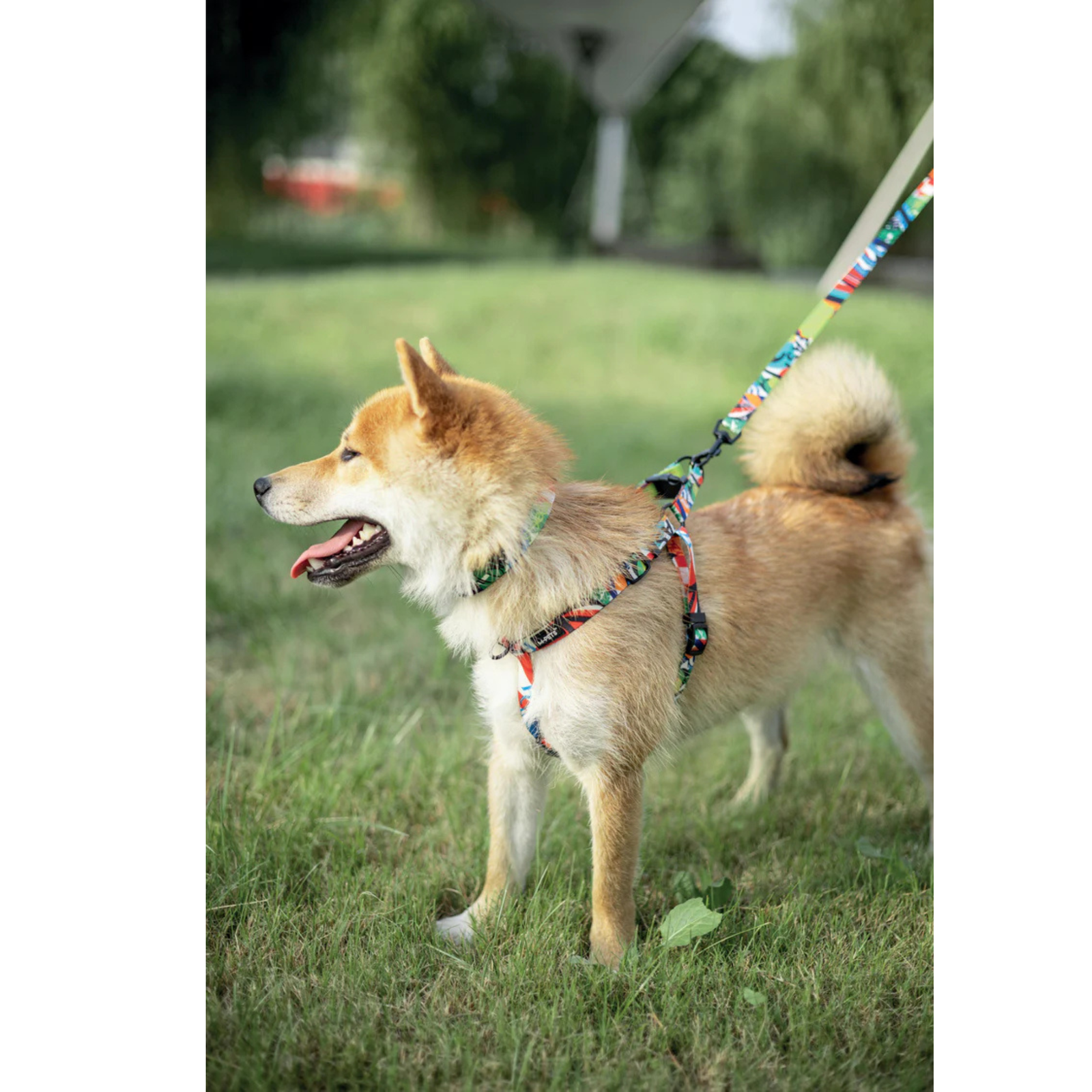 M-Pets URBAN STYLE Freestyle Leash product image 10 - Rufftail Pune