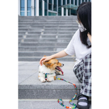 M-Pets URBAN STYLE Freestyle Leash product image 11 - Rufftail Pune
