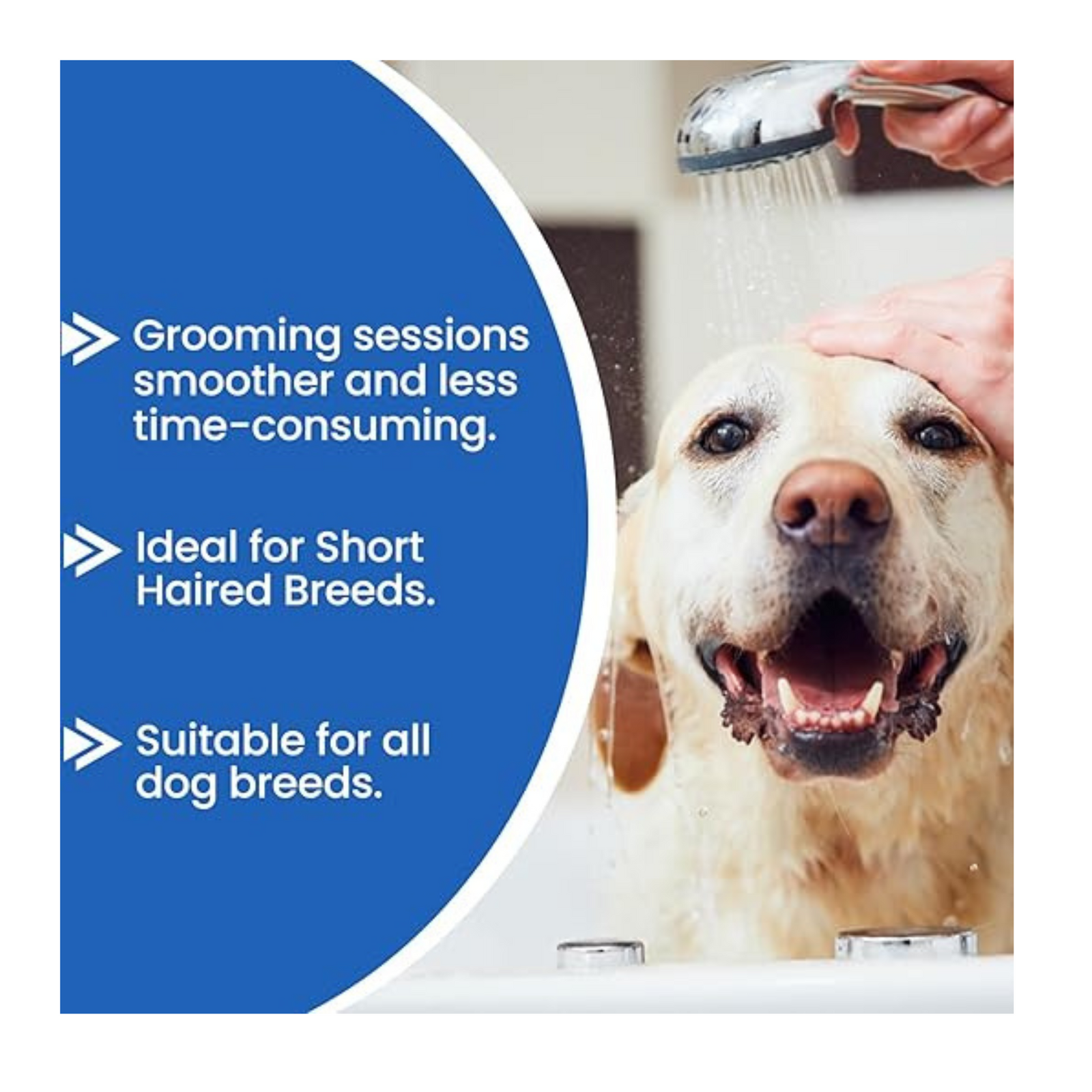 Forcans Aloe Dog Shampoo - Short Coats, Moisturizing & Soothing Formula (300 ml) - Rufftail