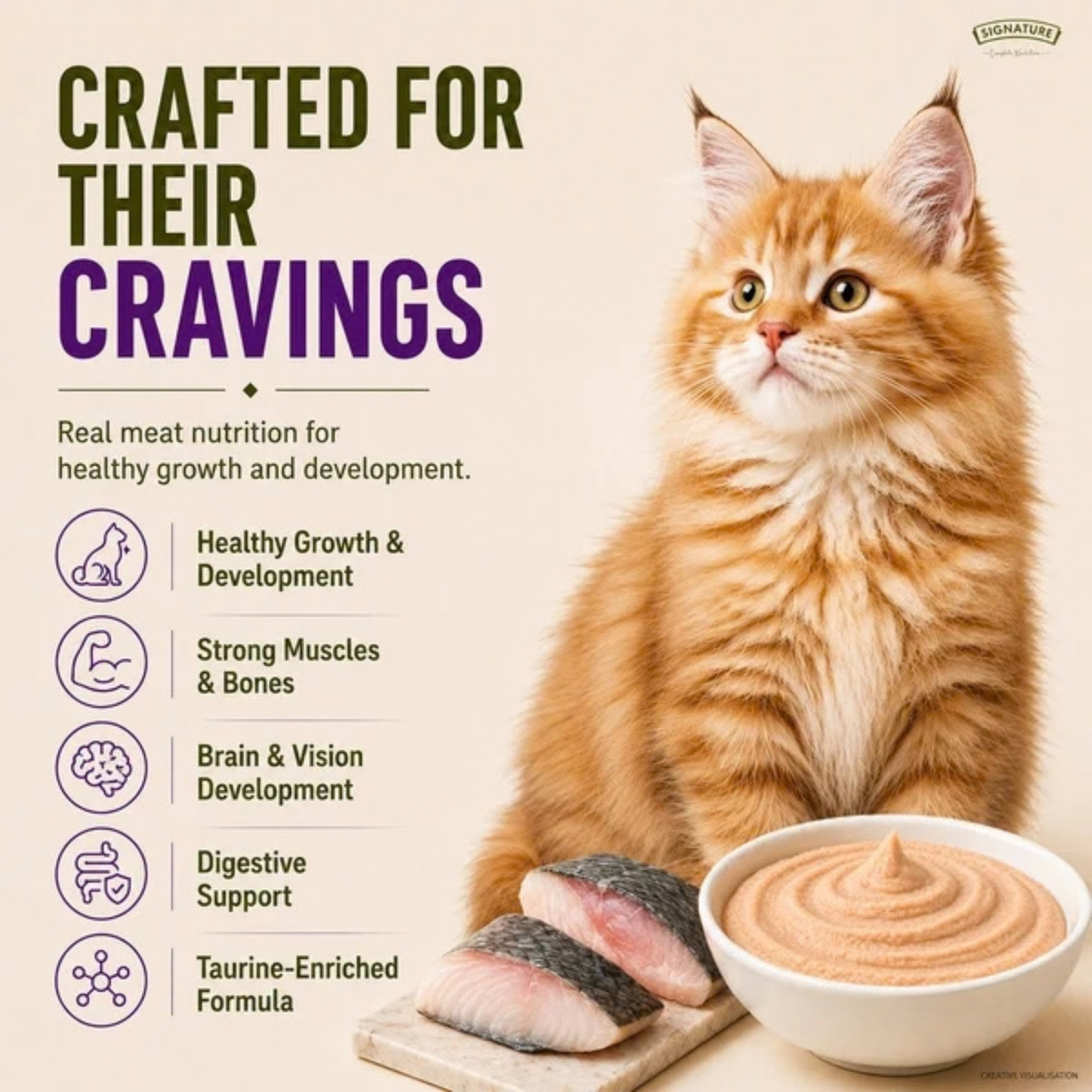 Signature Grain Zero Ocean Fish Mousse Kitten Cat Wet Food
