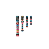 M-Pets URBAN STYLE Jazz Stripes Collar product image 6 - Rufftail Pune