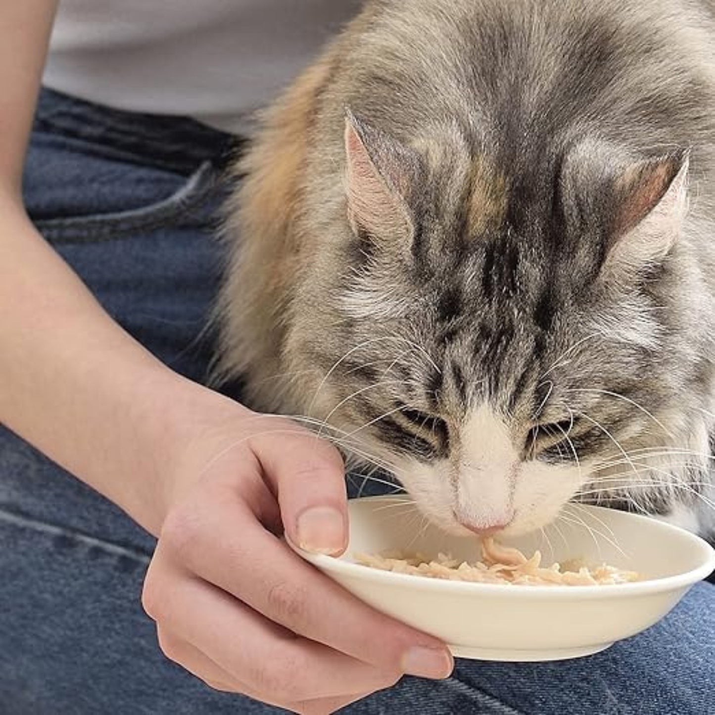 INABA Chicken Broth with Chicken Recipe Cat Treat (50g)