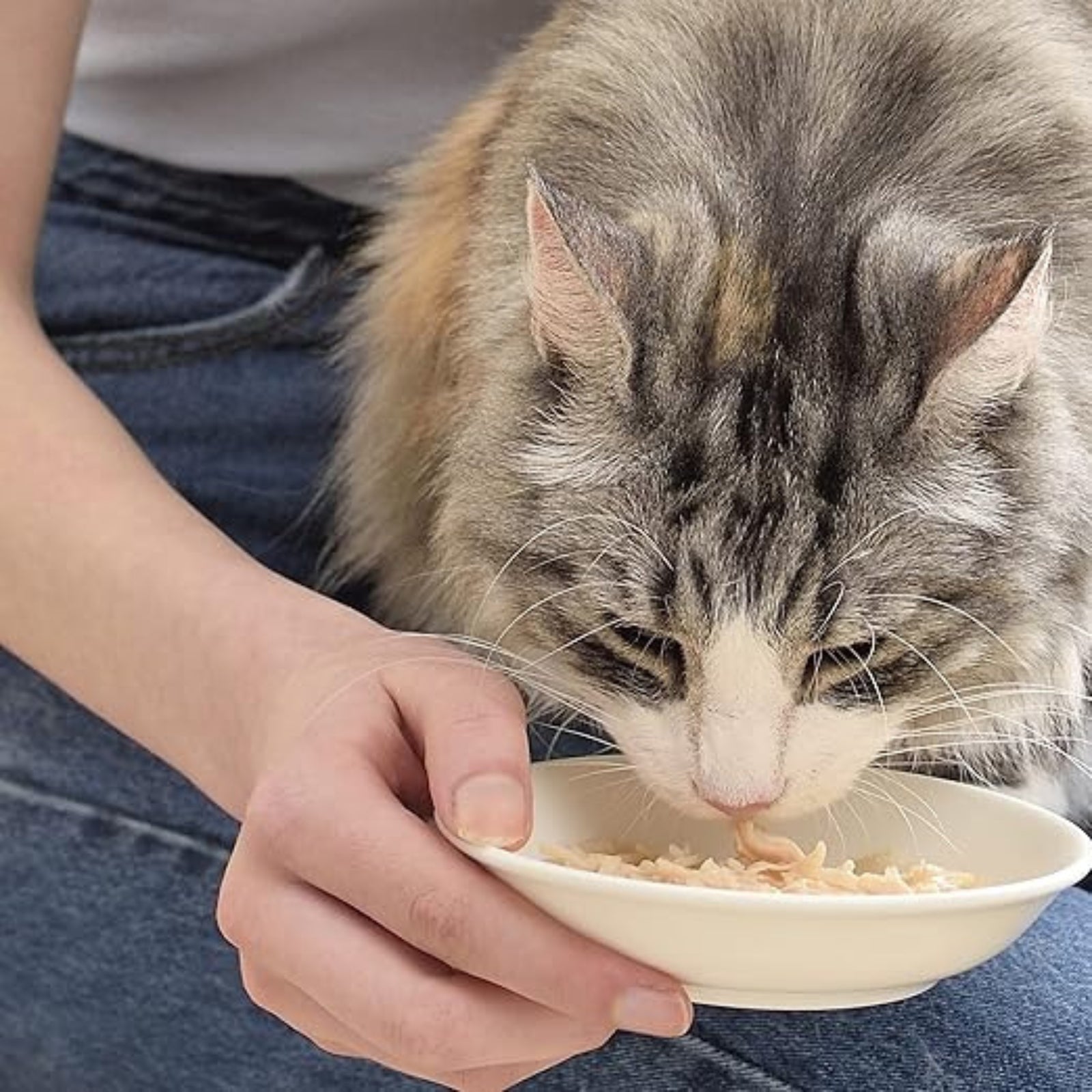 INABA Chicken Broth with Chicken Recipe Cat Treat (50g)