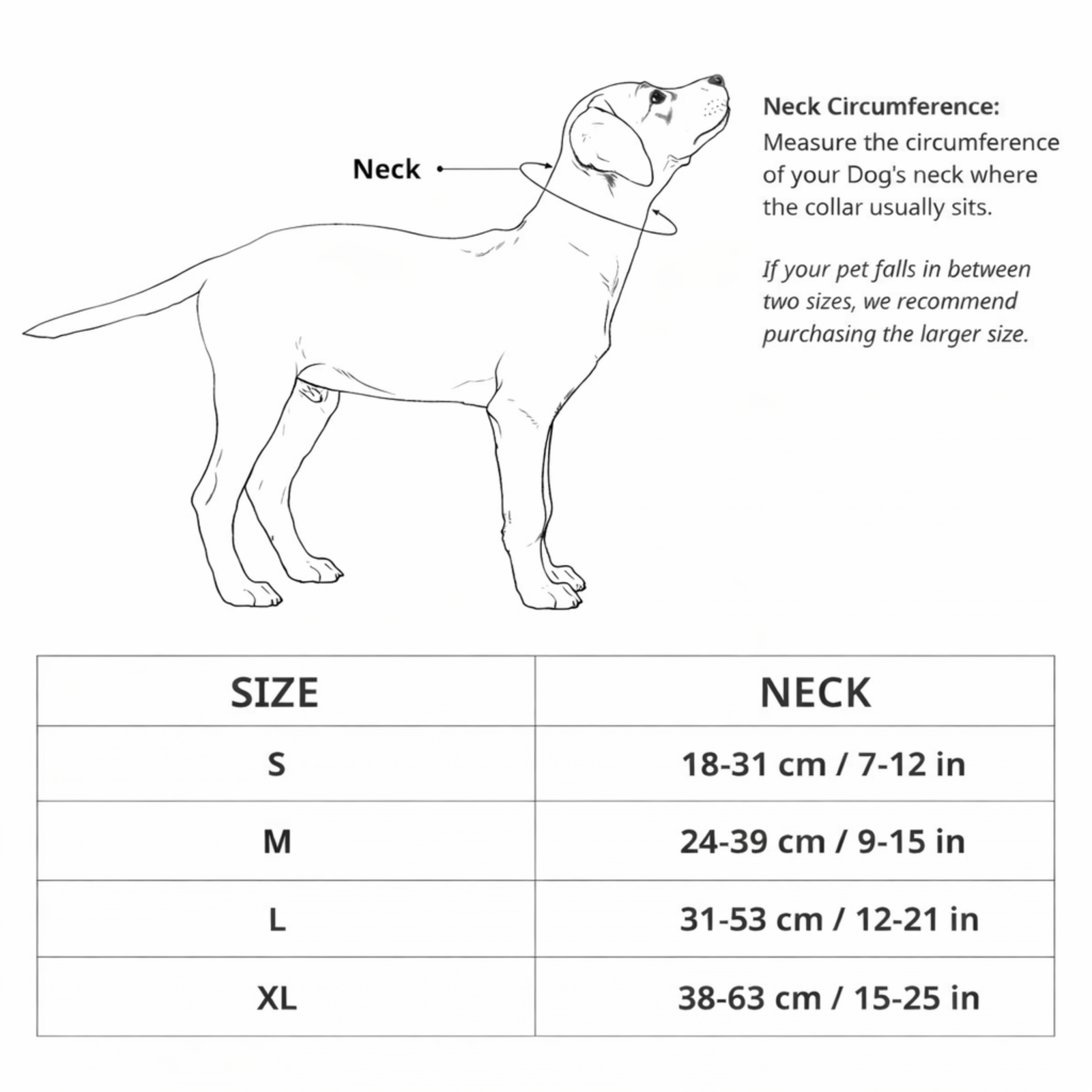 M-Pets BASTION Protective Dog Collar product image 5 - Rufftail Pune