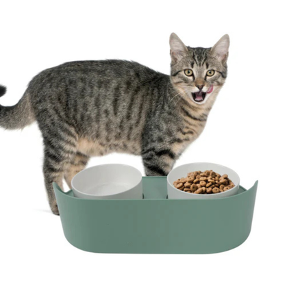 M-Pets ALTITUDE Double Raised Pet Bowls - Rufftail