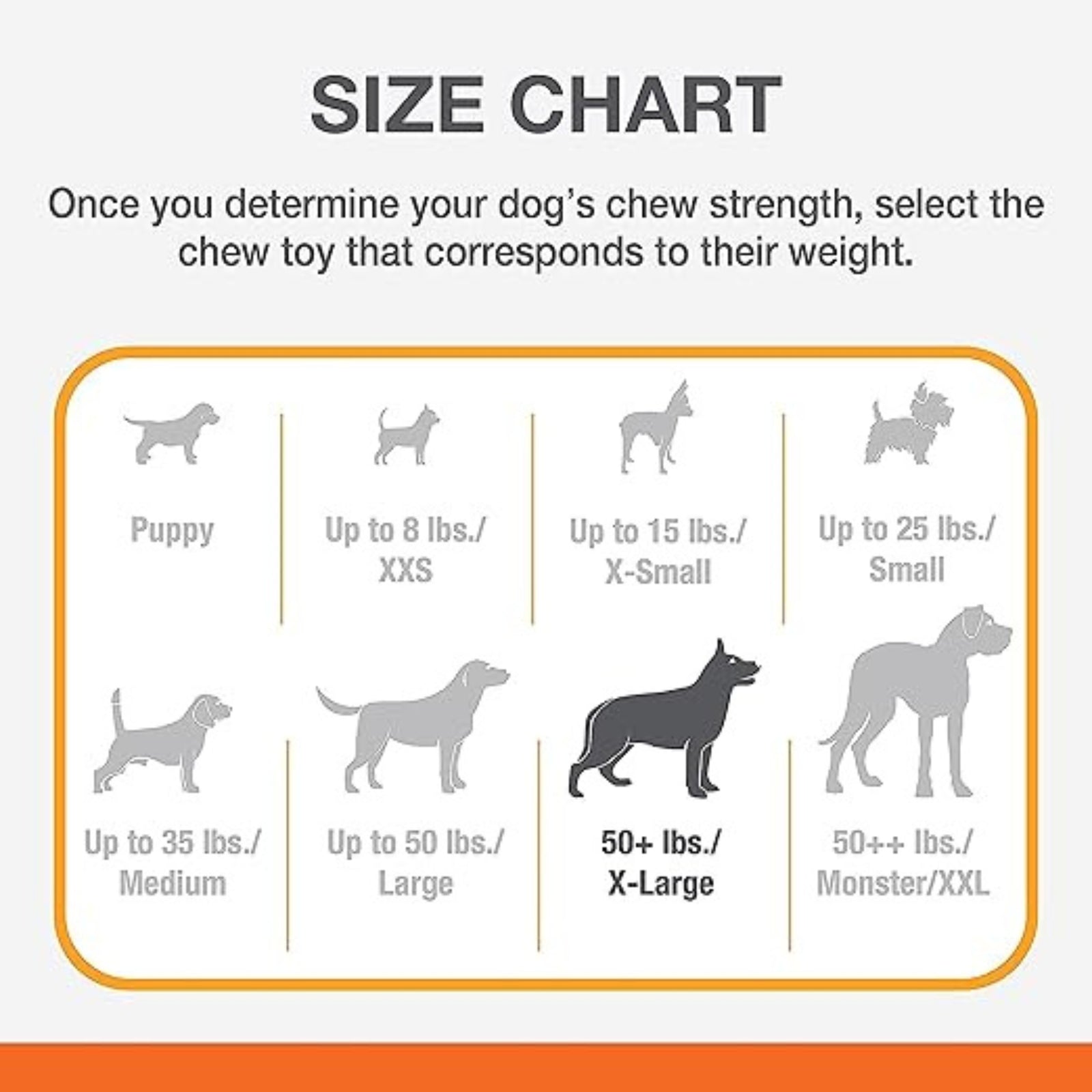 Nylabone Silver Collection Strong Chew Bone, Durable Dog Chew Toy - Rufftail