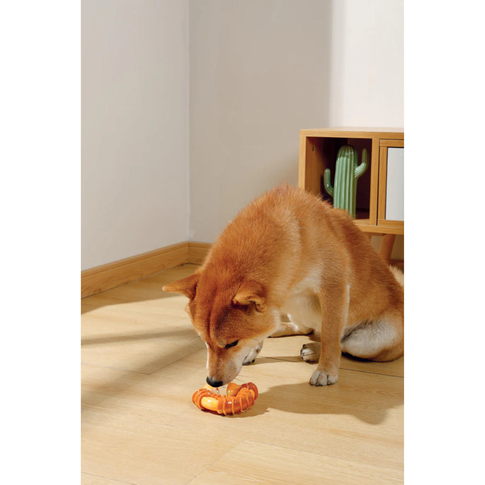 M-Pets CARNIVORE Dog Toy Ring Bone- Bacon scent product image 7 - Rufftail Pune