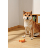 M-Pets CARNIVORE Dog Toy Ring Bone- Bacon scent product image 8 - Rufftail Pune