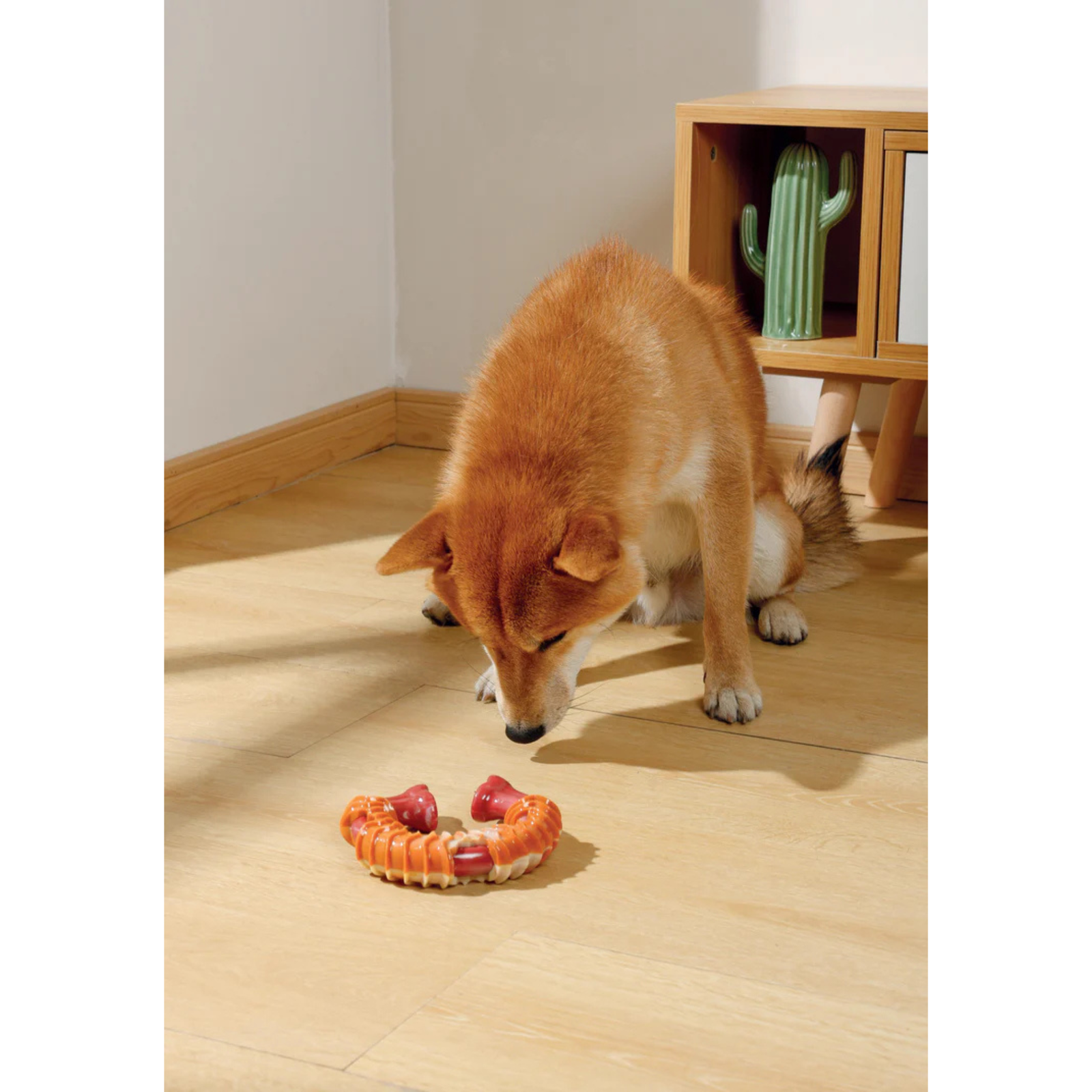 M-Pets CARNIVORE Dog Toy Ring Bone- Bacon scent product image 9 - Rufftail Pune